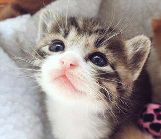 机箱机柜在钣金加工技术工艺上有哪些需求?